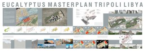 Eucalyptus Masterplan